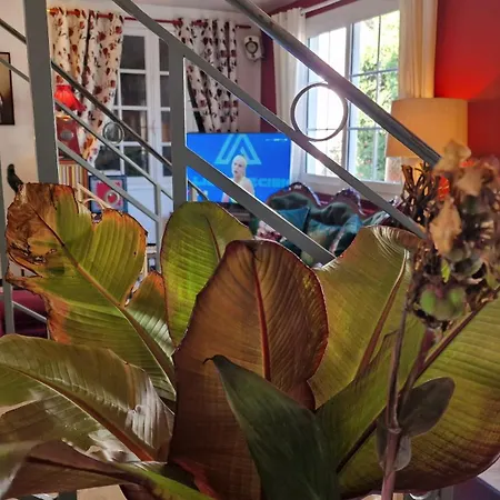 Saint Jacques Hotel Thorigné-sur-Dué